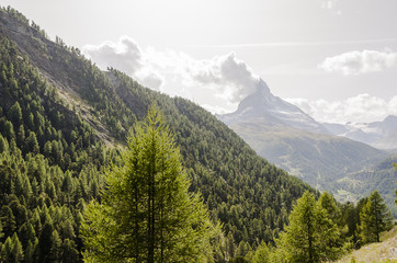 Fototapeta na wymiar Zermatt, Dorf, Findeln, Findelbach, Wanderweg, Findelbachschlucht, Schlucht, Alpen, Matterhorn, Lärchenwald, Arve, Wallis, Sommer, Schweiz