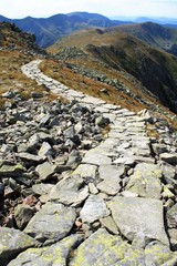 weg aus steinplatten gelegt in den bergen der niederen tatra in der slowakei/über stock und stein, der weg nach vorne bringt dich ans ziel/wandern im gebirge, aktiv an der frischen luft