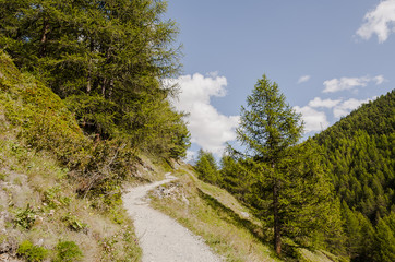 Fototapeta na wymiar Zermatt, Findeln, Findelbach, Findelbachschlucht, Sunnegga, Wanderweg, Lärchenwald, Alpen, Wallis, Walliser Berge, Sommer, Schweiz