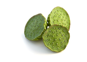 lotus seed close up