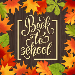 Back to school hand drawn lettering. Autumn leaves background. Knowledge Day. Vector Illustration EPS10