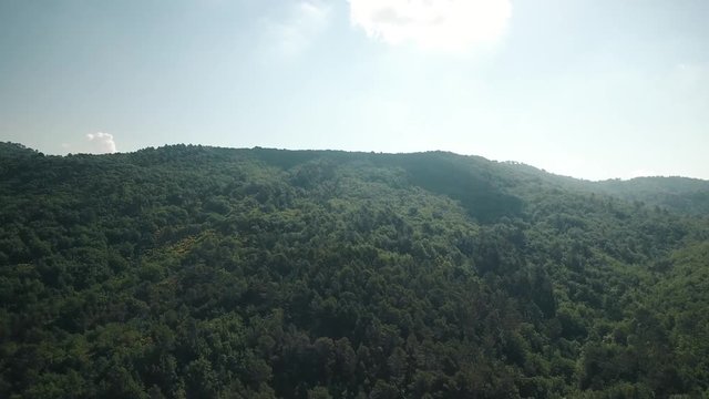 VUE AERIENNE D'UNE FORET PAR DRONE