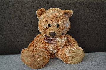 Toy bear