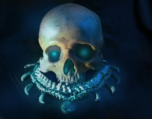 Skull / View of skull with snake backbone necklace on dark background.