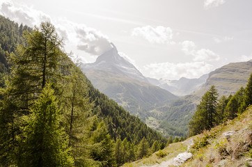 Obraz premium Zermatt, Dorf, Findeln, Findelbach, Findelbachschlucht, Schlucht, Wanderweg, Alpen, Matterhorn, Lärchenwald, Wallis, Sommer, Schweiz