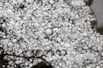hailstones on the ground after hailstorm, hail of great size, hail sized with a larger coin