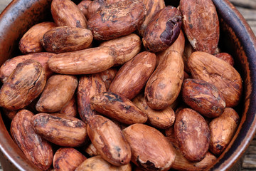 Cacao beans in a bowl