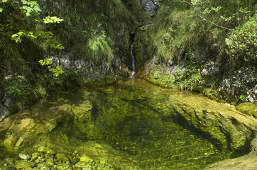 Creek pool, clear water