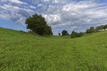 meadow landscape in lush green and cloudy sky