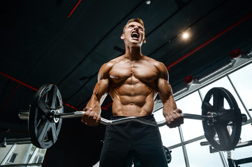 Obraz na płótnie Canvas Handsome model young man training arms in gym