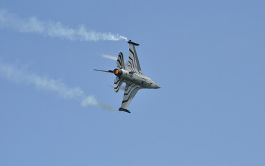 Festival Aereo2