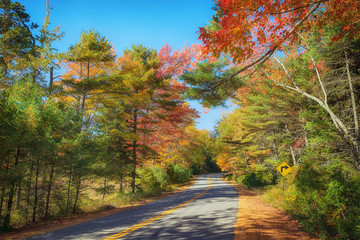 Obraz premium Winding road curves through colorful autumn foliage in New England