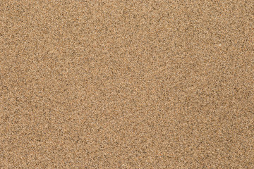 Wet sand background. Fine sea sand texture.