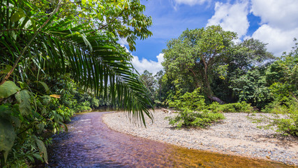 the river in jungles indonesia