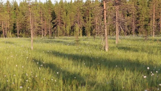 Porotokan vaellukselle, Lappi, Suomi, kes&auml;