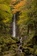 The Water Falling at the Yoro Waterfall in Gifu, Japan, November, 2016