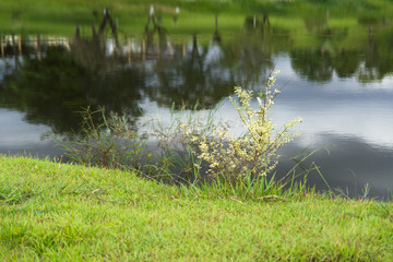 beautiful lake