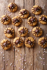 Festive chocolate spider cookies for Halloween. Vertical top view
