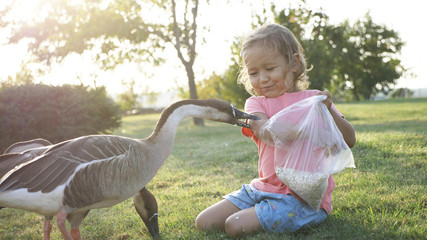 Girl feeding goose but goose attack and plucked her