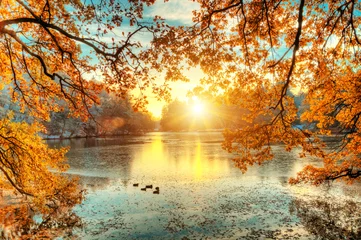 Crédence de cuisine en verre imprimé Orange Beaux arbres colorés avec lac en automne, photographie de paysage