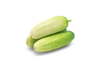 Fresh cucumber on white background.