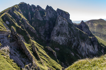 cereal field in front of Ste-Victoire mountain
