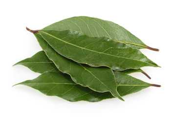 Fresh bay leaves isolated