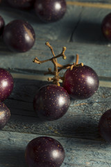Homemade Sweet Muscadine Grapes
