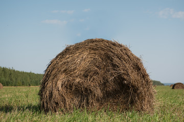 Haystack on the field