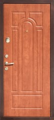 Fototapeta premium Entrance door (metal door)