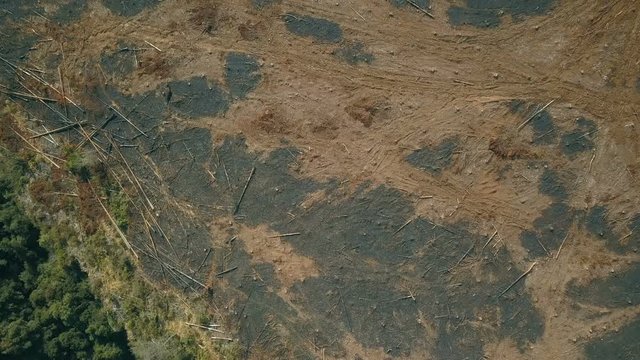 Vertical view of deforested area cleared of trees and burned