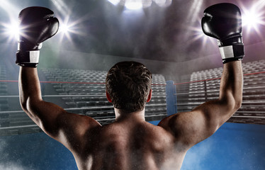 Back view of man boxer with raised hands in victory gesture