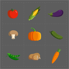 Colorful Vegetable Icon Set on Grey Background