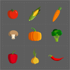 Colorful Vegetable Icon Set on Grey Background