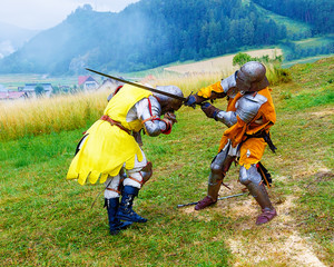 fighting knights on green meadow in historic costumes.