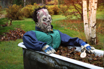 Frankenstein monster in bathtub halloween 