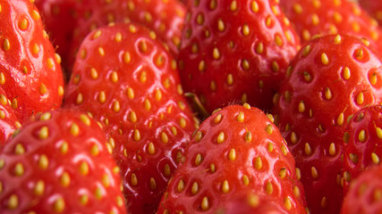 fraises en gros plan