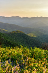 Shenandoah National Park - Virginia