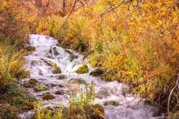 Cascade Springs Water Fall