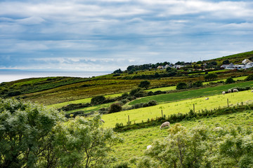 Obraz premium Slieve League Cliffs, County Donegal, Irlandia