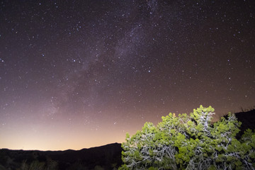 Night Sky over Anza-Borrego