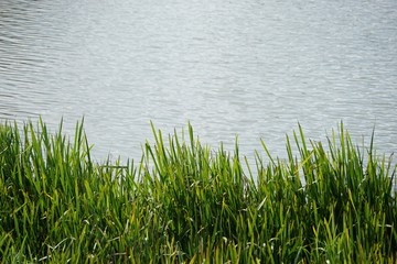 Härtsfeldsee (Schwäbische Alb) - Panorama im Sommer