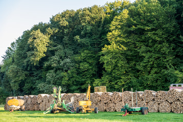 Brennholz © focus finder