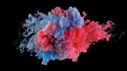 Real shot color paint drops in water. Ink swirling underwater. Cloud of ink collision isolated on black background. Colorful abstract smoke explosion. Close up view