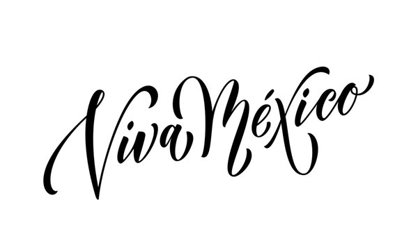 Viva Mexico lettering Independence day Mexican vector national symbol flag color