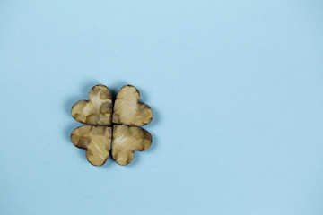 Fototapeta na wymiar Four Hearts Leaf Clover