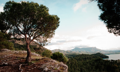 Fototapete bei efototapeten.de bestellen   