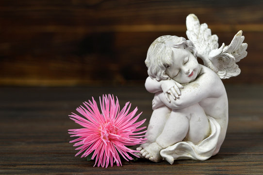 Sleeping angel and flower on wooden background