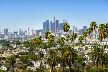 Naklejka premium Los Angeles, Kalifornia, USA panoramę centrum miasta i palmy na pierwszym planie