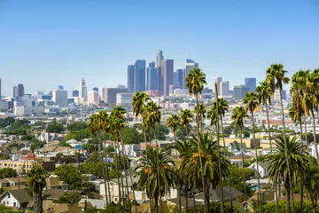 Fotobehang Downtown skyline van Los Angeles, Californië, VS en palmbomen op de voorgrond © chones